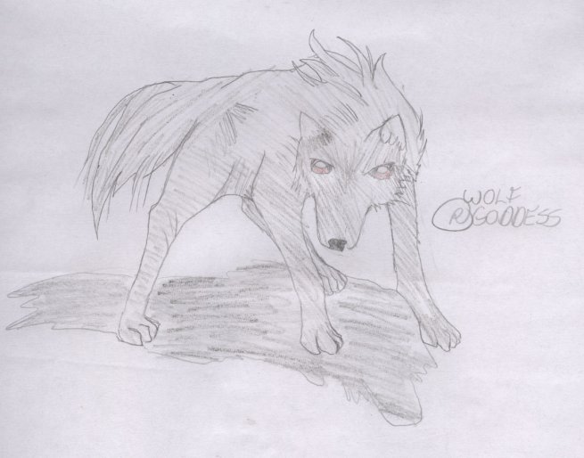 My Wolf Form by wolf_goddess