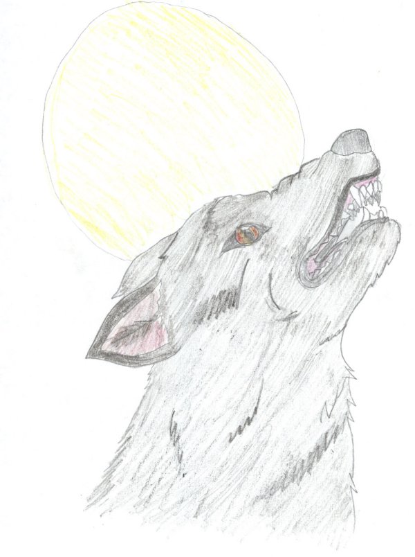 My Wolf Form Howling by wolf_goddess