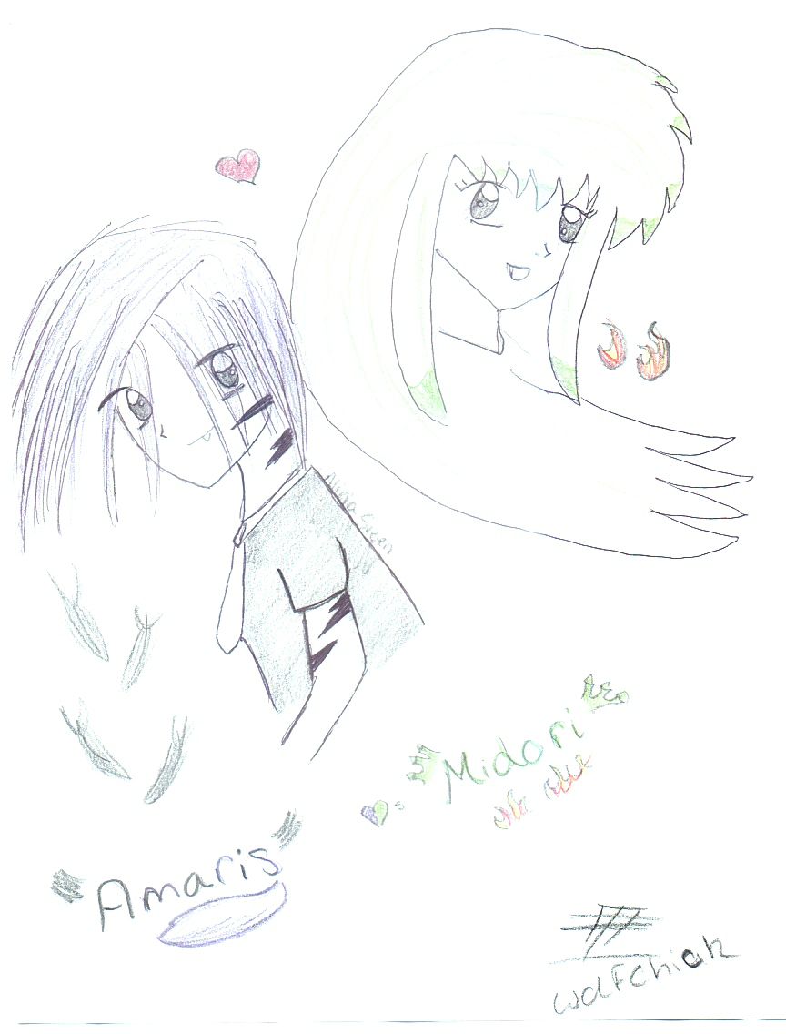 Amaaris And  Midori by wolfchick