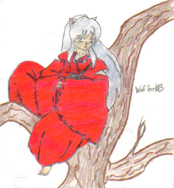 Inuyasha in a tree by wolfgirl45
