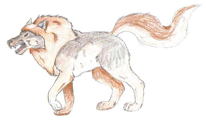 Wolf Lion by wolflion