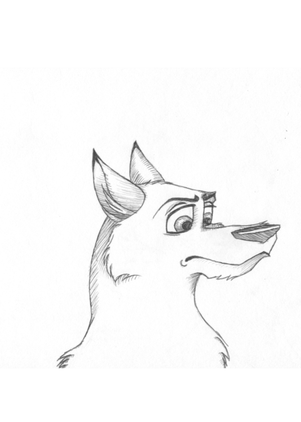 wolf pen sketch by wolflover173