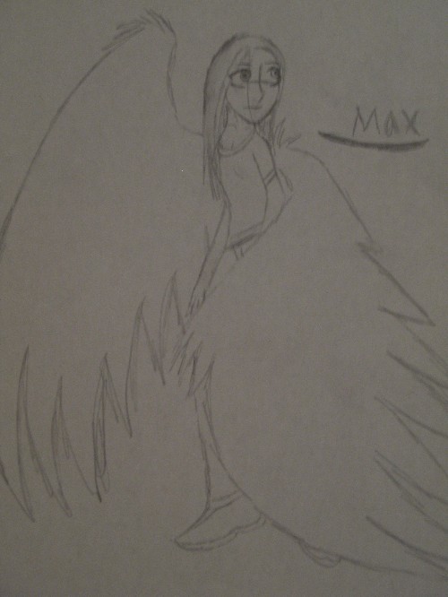 M R Sketches- Max by wolfmoon
