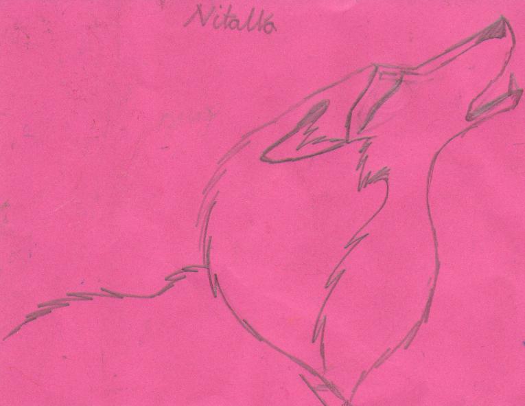 Nitalla howling *pink paper* by wolfwhisperer