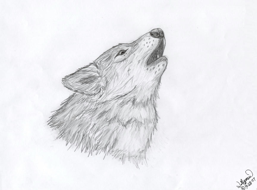 Wolf Howling II by wolfymewmew