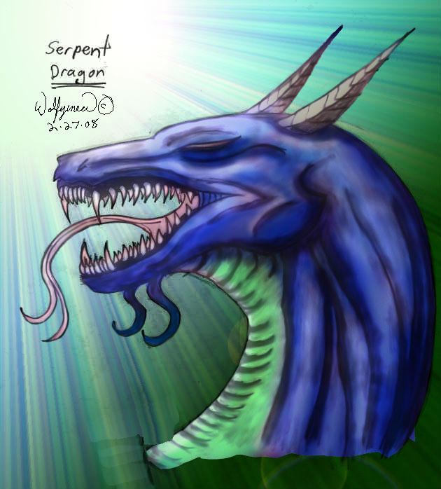 Serpent Dragon by wolfymewmew