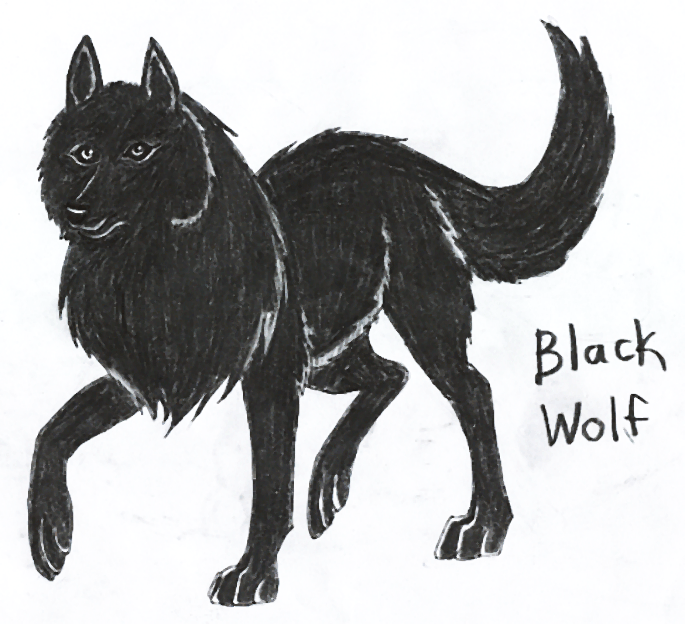 Black Wolf by wolfymewmew