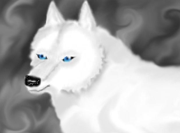 White Wolf by wolfymewmew