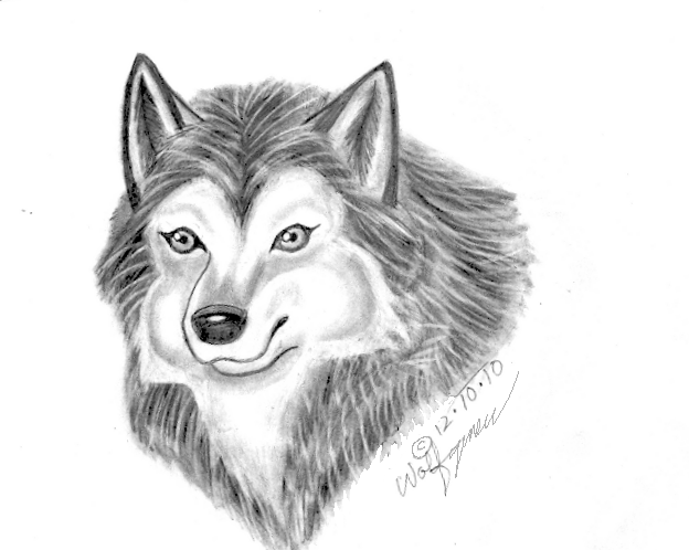 Happy Wolf by wolfymewmew