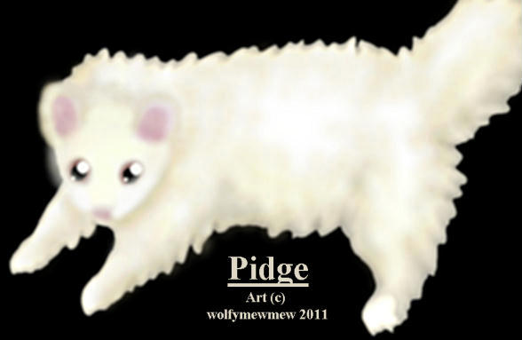 Pidge by wolfymewmew