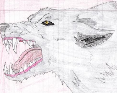 wolf bite by wolverinedeathmaster14