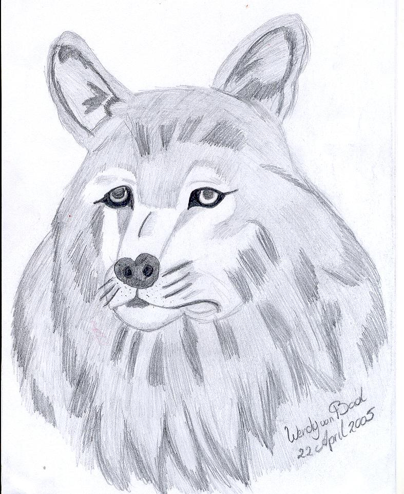 Wolfs head first realistic picture by wolves_daughter