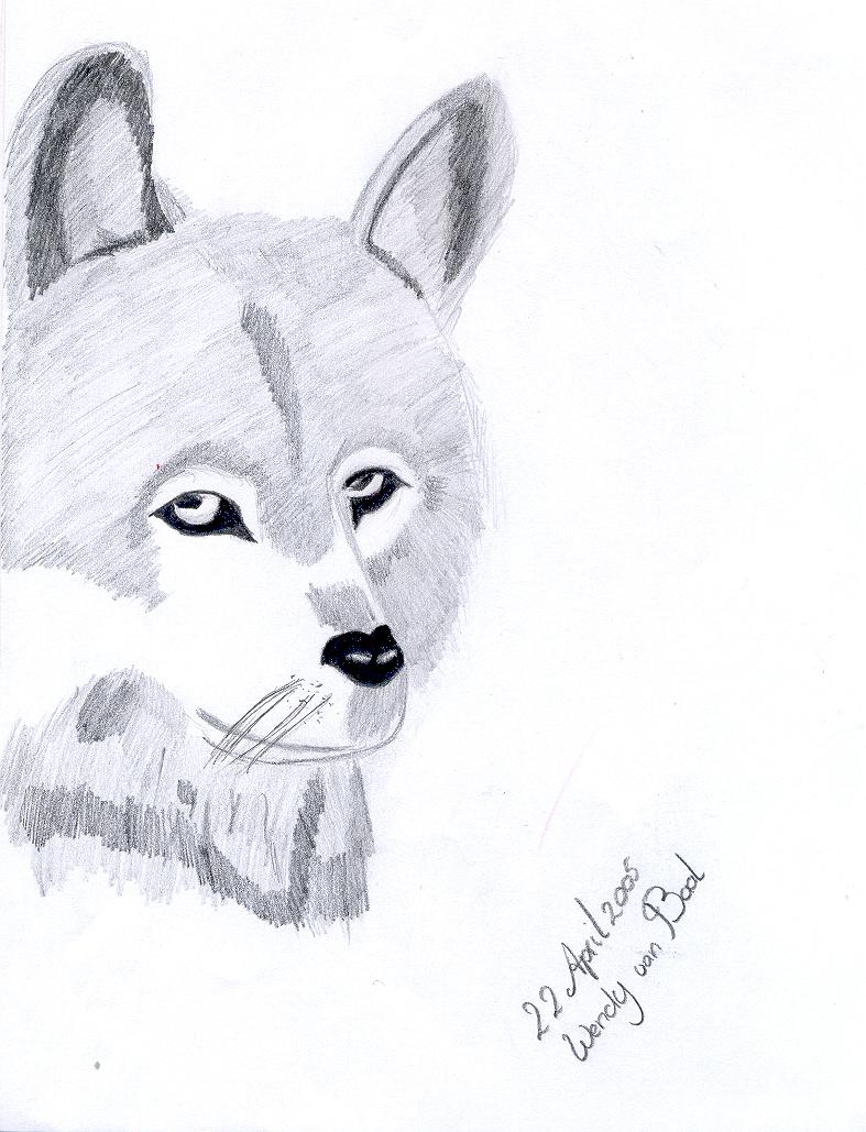 Realistic Wolfs head second picture by wolves_daughter