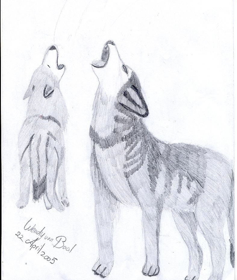 Howling Wolves by wolves_daughter