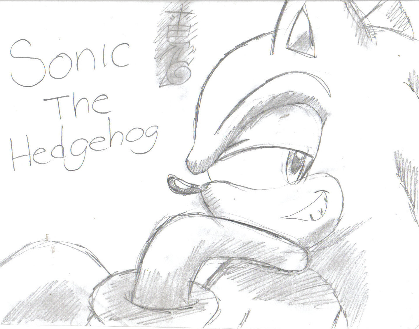 Sonic The Hedgehog by XDarkCreamX