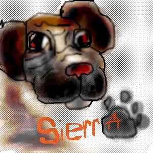 Sierra Puppy by XDarkstar