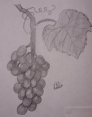 Grapes by XKamariaX