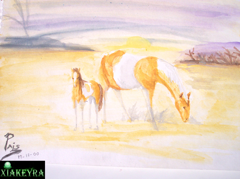 Horses by Xiakeyra