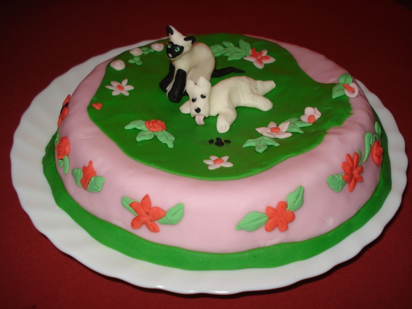 Dog and Siamese cat, fondant cake by Xiakeyra