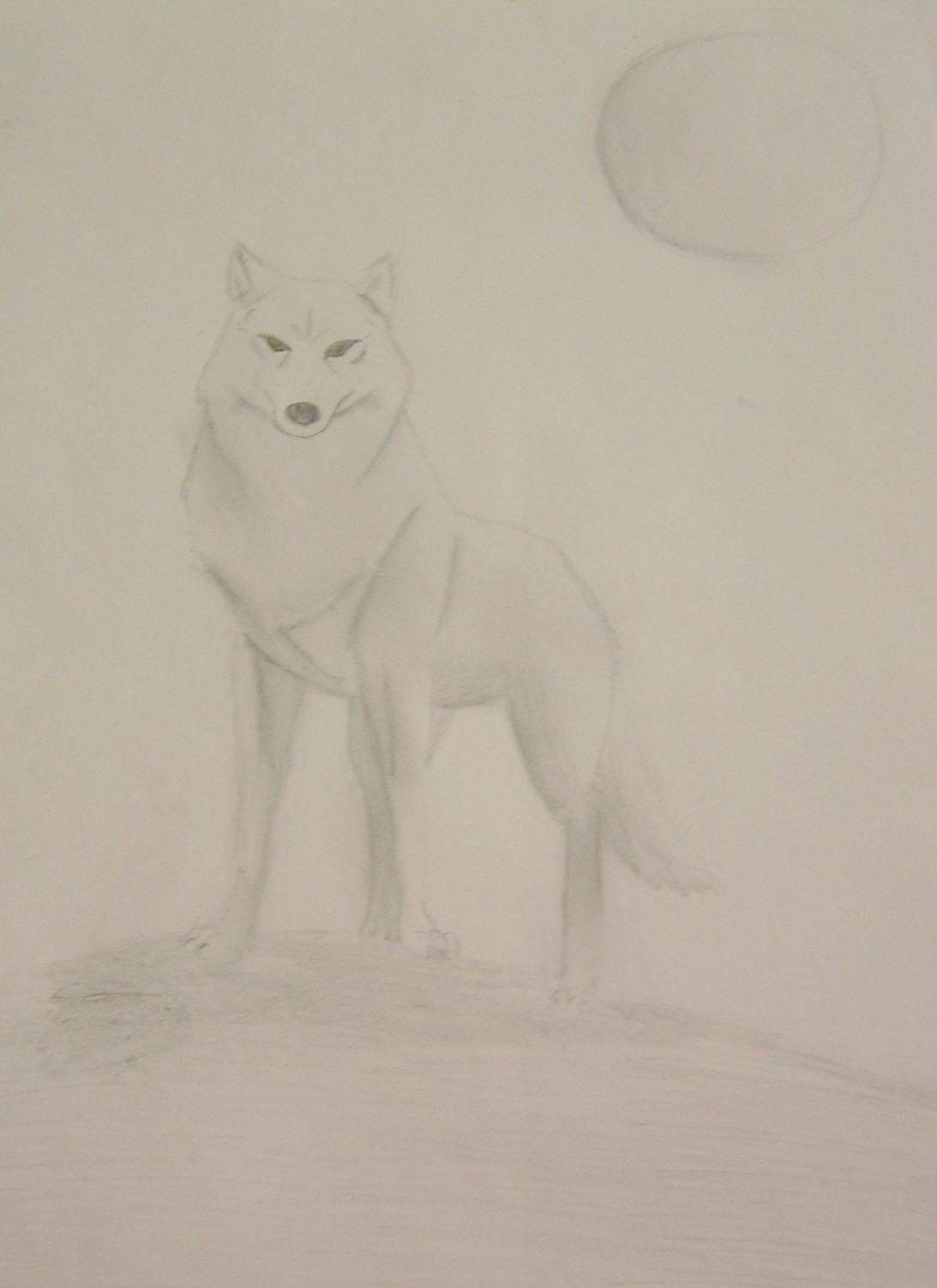 Kiba The White Wolf by XxATLsGreatestxX