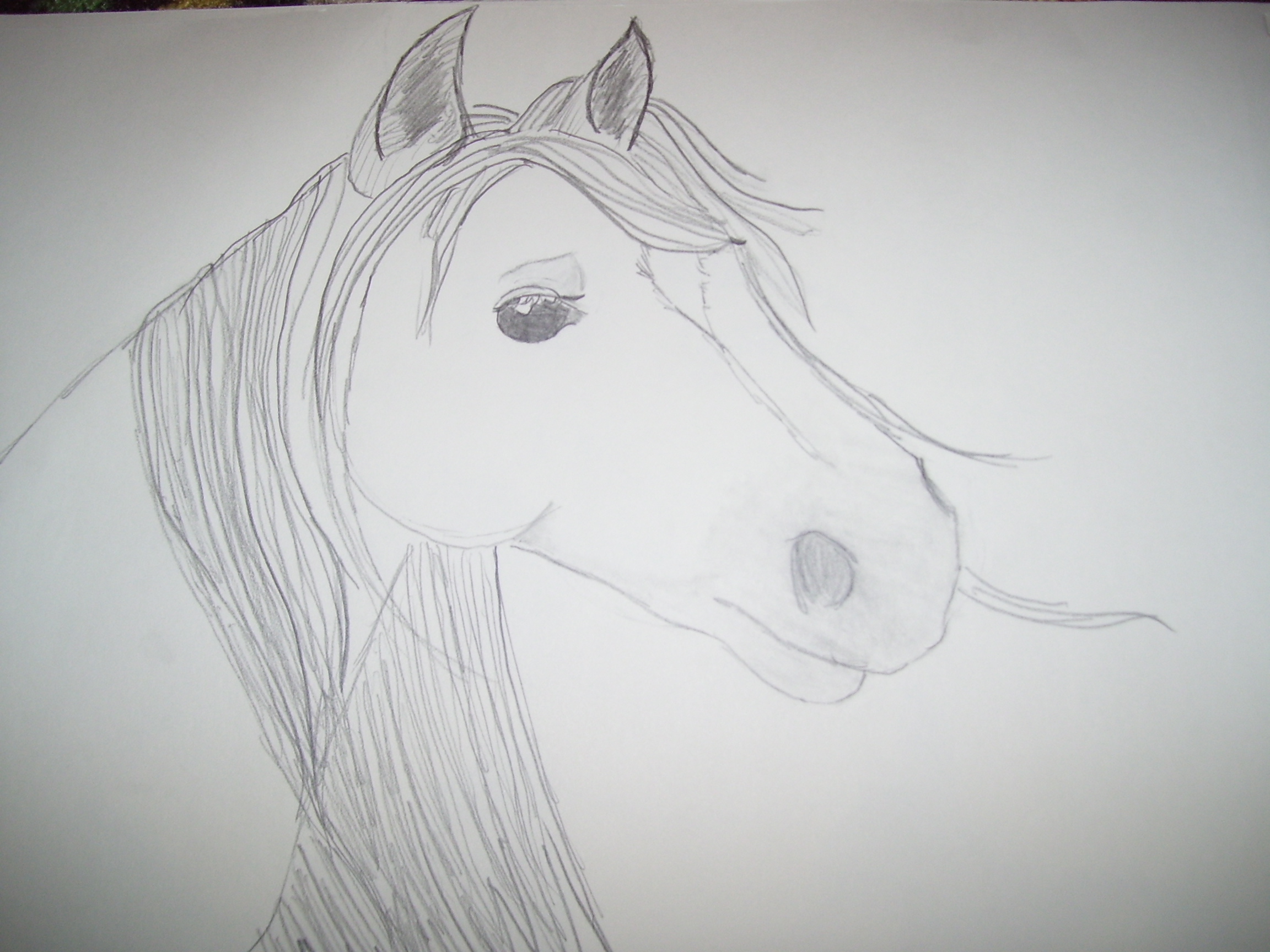 Preety Horse by XxMonikaBluexX