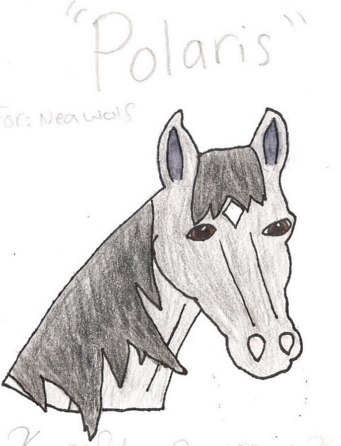 Polaris *for NeaWolf* by XxStarJumperxX