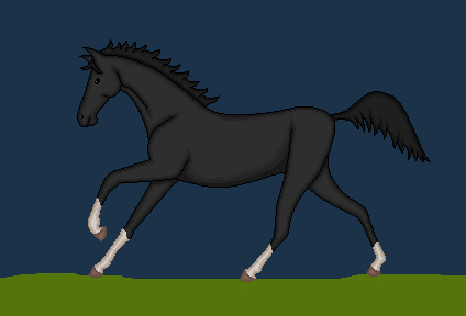 A black gallop by xFrencHxFriEx