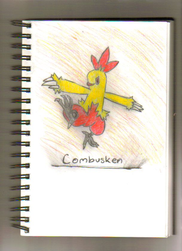 Combusken by xShizunex