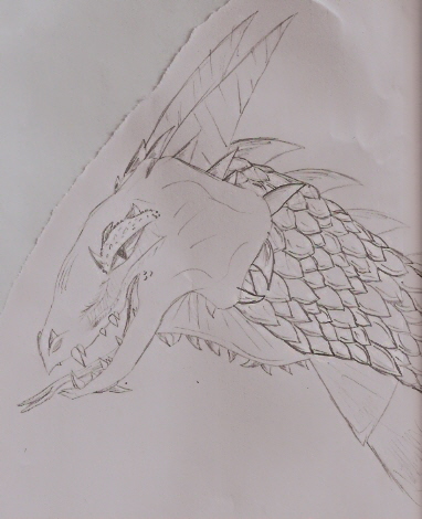 A dragon for Drakedragon by xkibaxgirlx