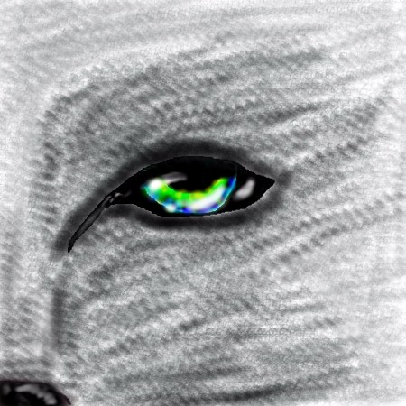 Wolf Eye by xkibaxgirlx