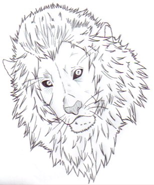 Lion head by xxKILLtheSYSTEMxx