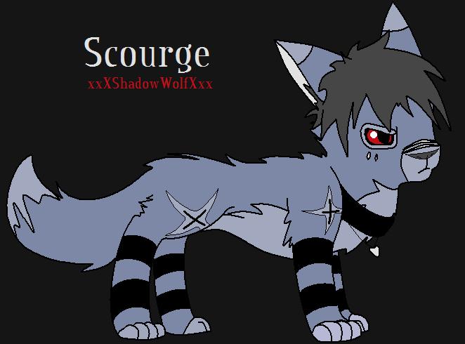 Scourge as a Cat by xxXShadowWolfXxx