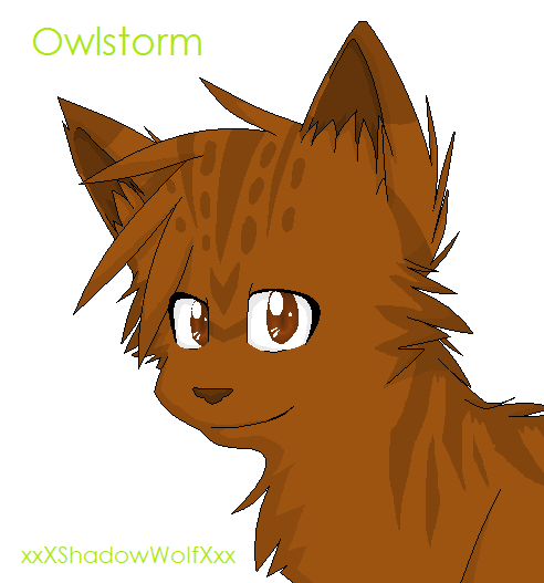 Owlstorm by xxXShadowWolfXxx