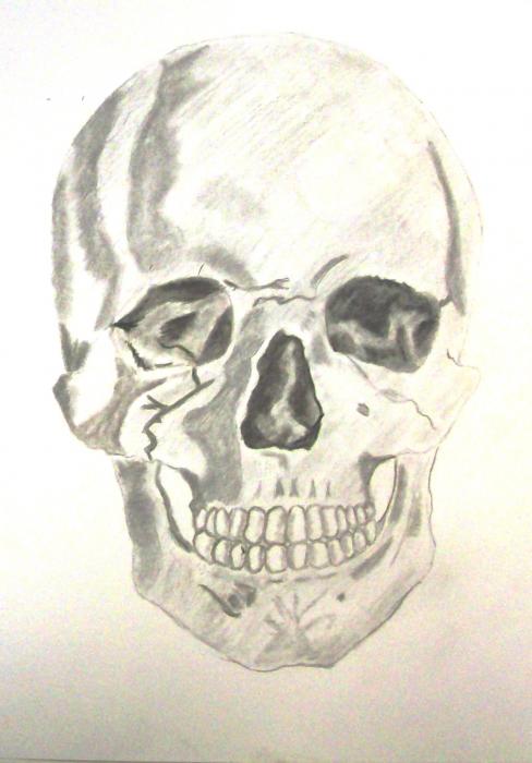 skull drawing by xxryan16xx