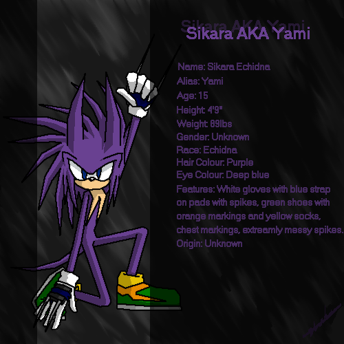 Sikara (Me as a Sonic Character) Profile by YamiBakura
