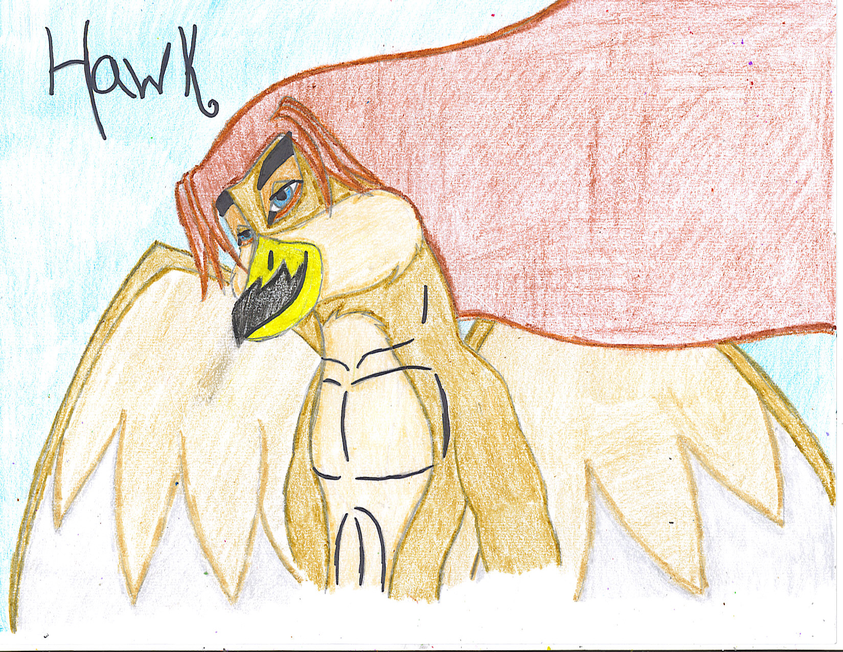 Hawk- Contest entry by Yami_And_The_Fallen_Angel