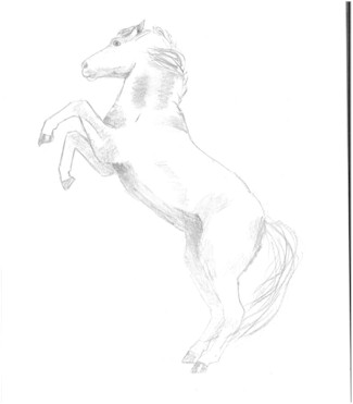 Pony stallion by Yeeha