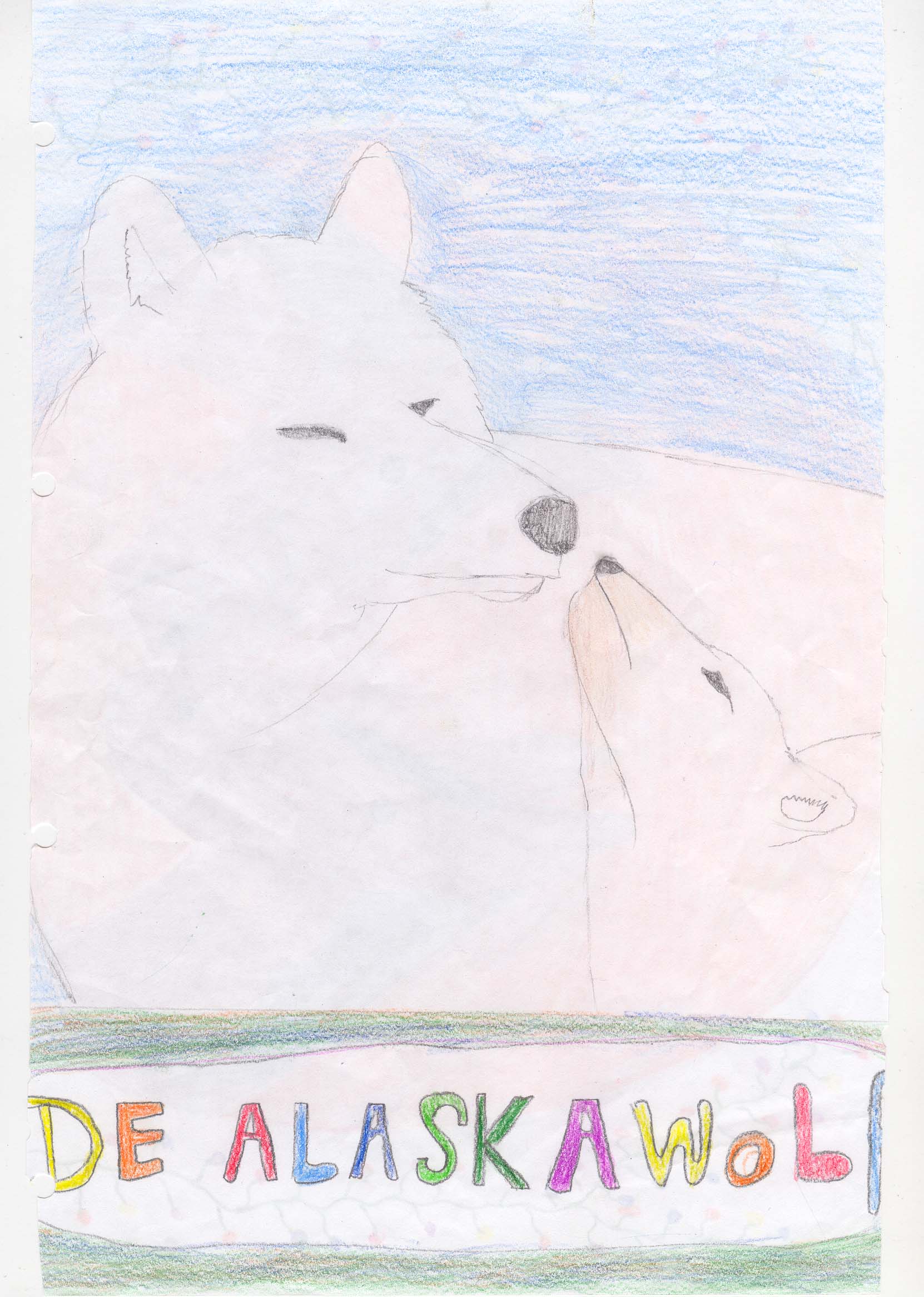 Alaskawolf by Yeslen-Muurlas