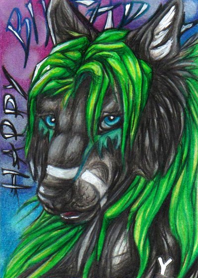 Wolflife Present ACEO by YlangYlang