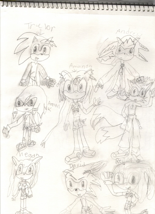 Me and my friends as sonic chacters by YoYo_Xvd93