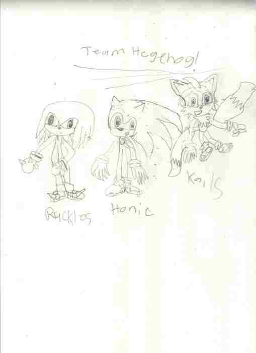 Team Hegehog by YoYo_Xvd93