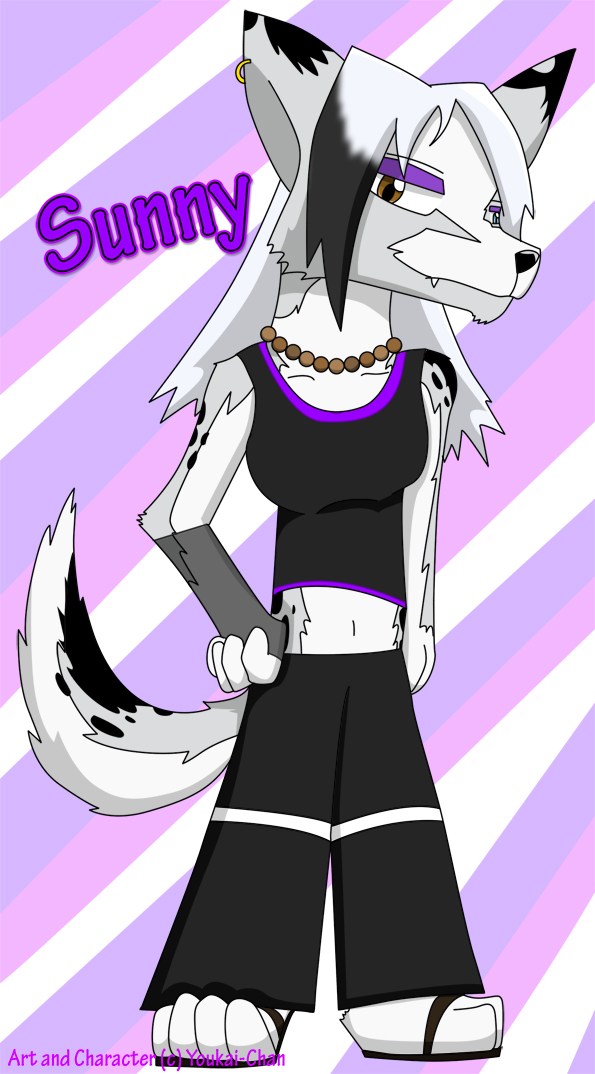 Sunny the Border Collie by Youkai_exe807