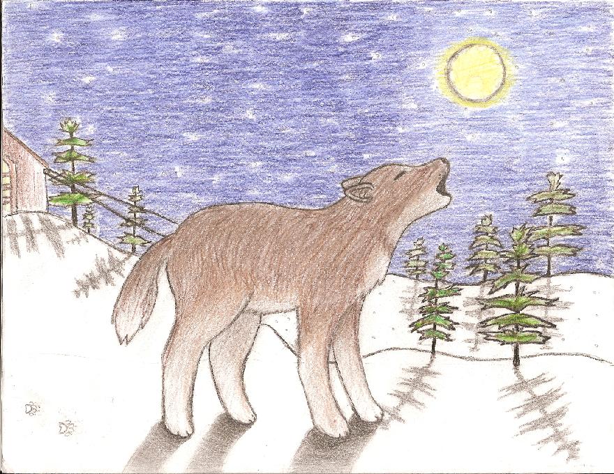 Wolf! by YuffieTheSwift