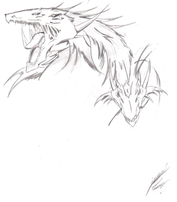 dragon sketch by yamijaudiel
