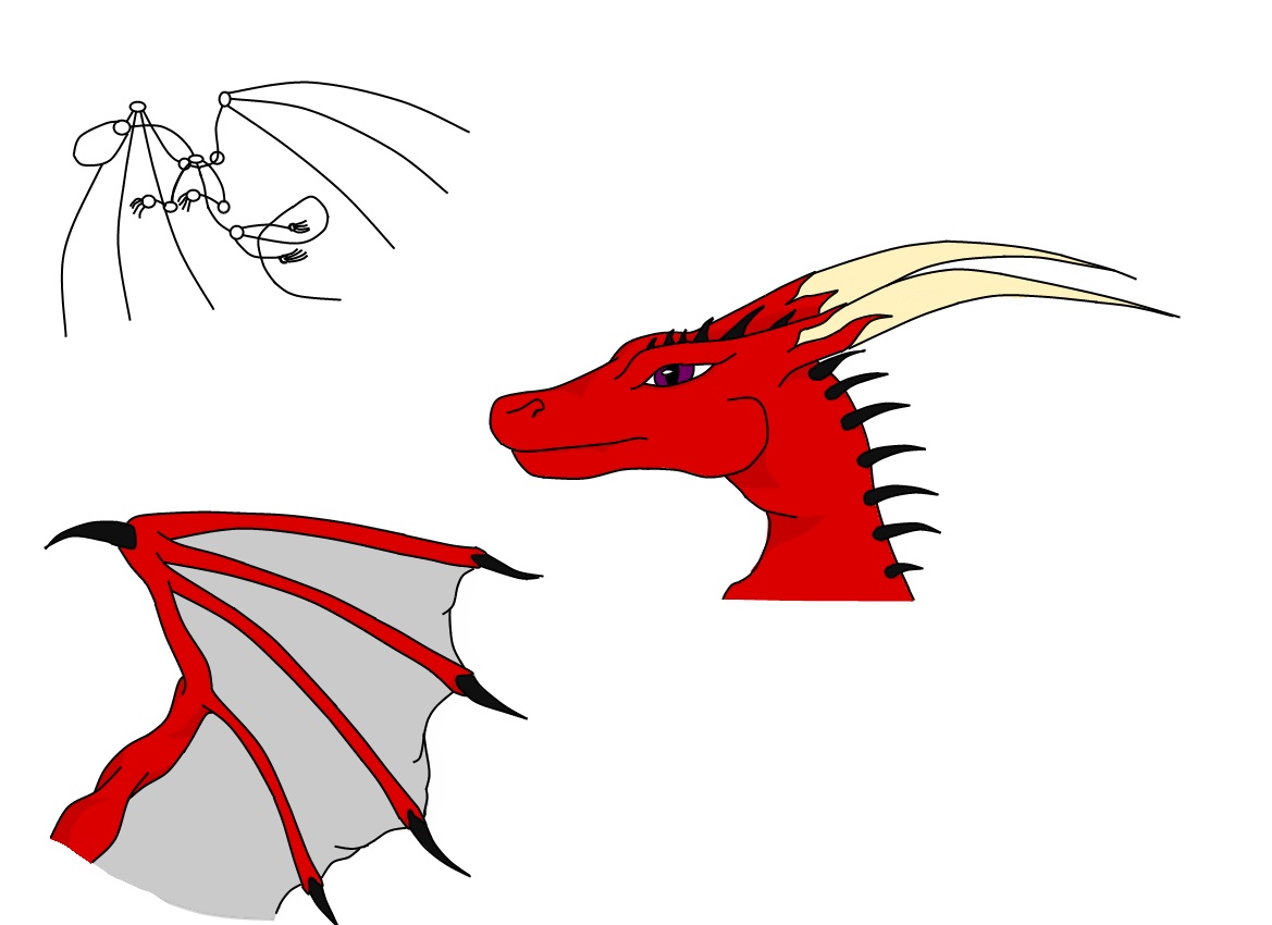 A nameless dragons design sheet by yaminogame