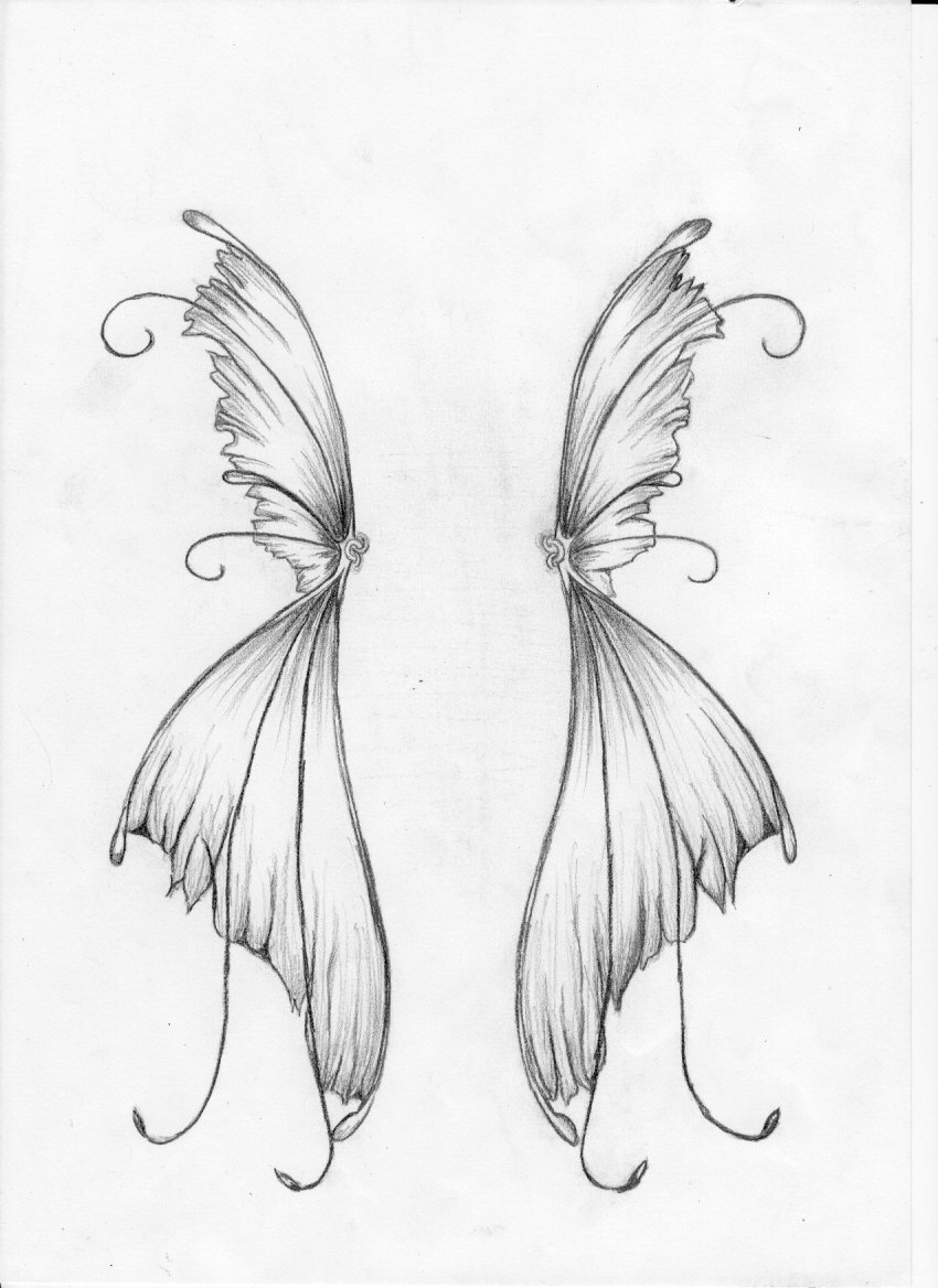 Wings by yavanna