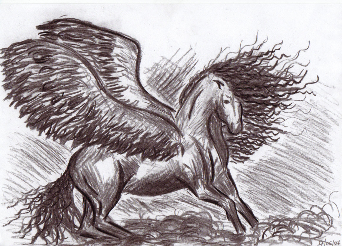 Pegasus by yavanna