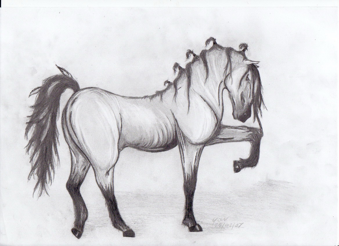 Horse by yavanna