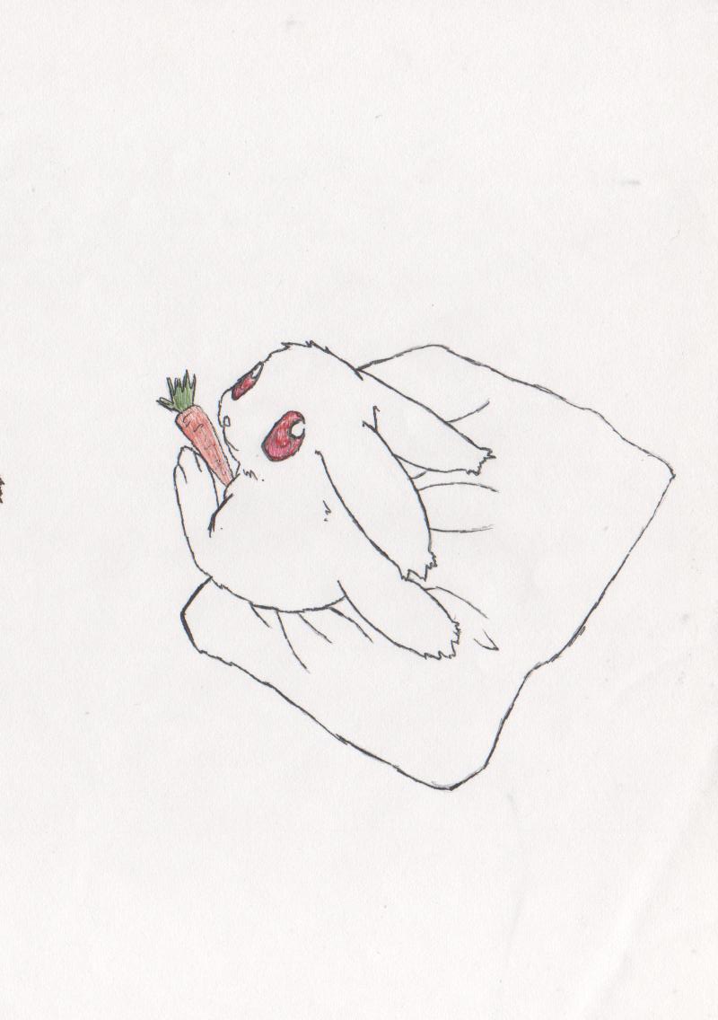 wiz sitting on a pillow by yohdo-chan