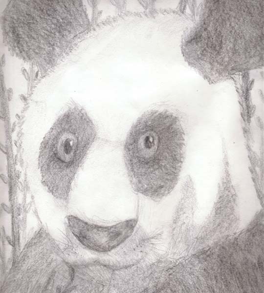 Panda!!! by you_smile